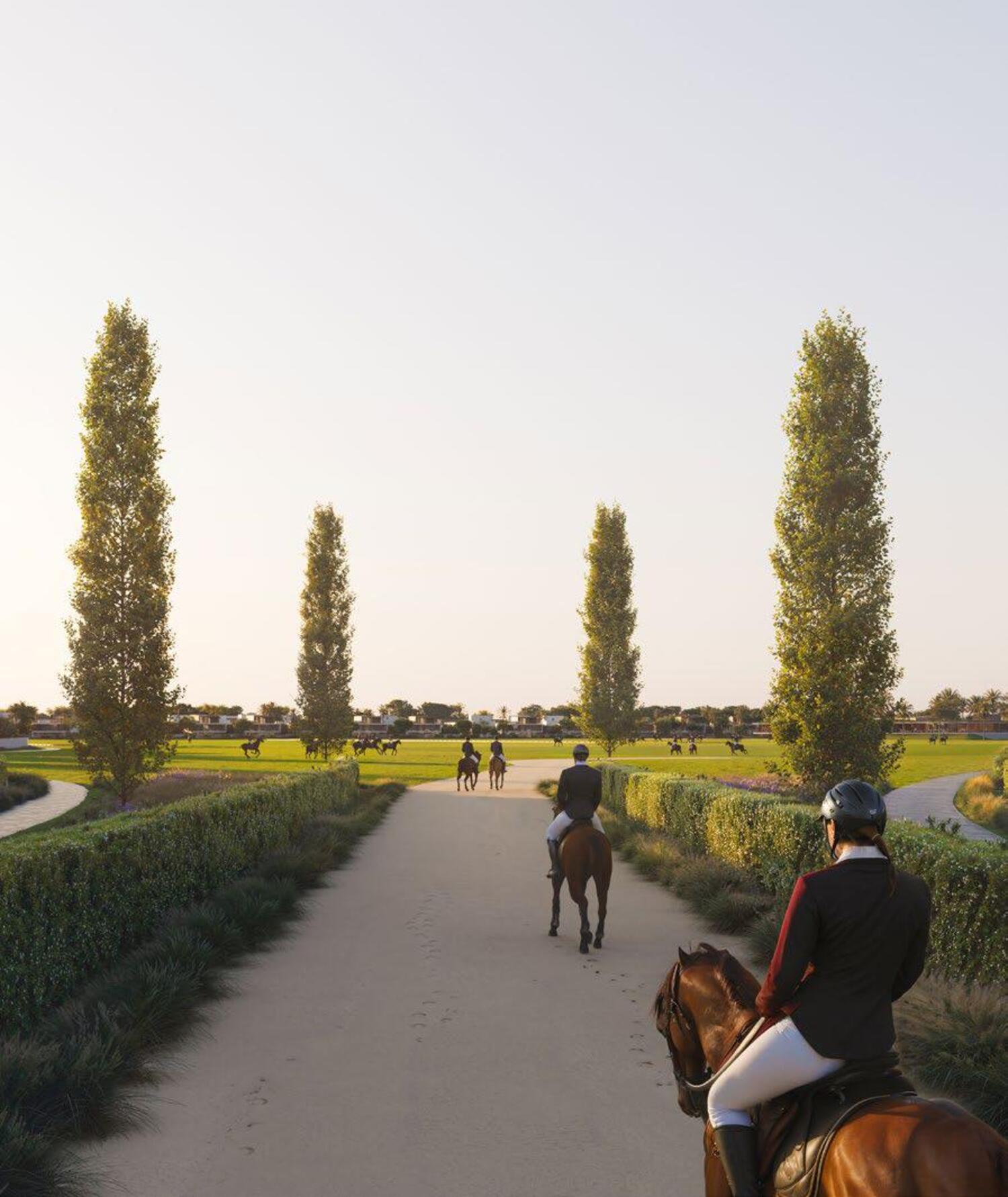 Weelderige gemeenschappelijke landschappen